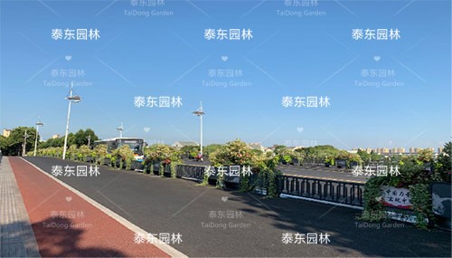 戶外花箱護(hù)欄 戶外花箱護(hù)欄